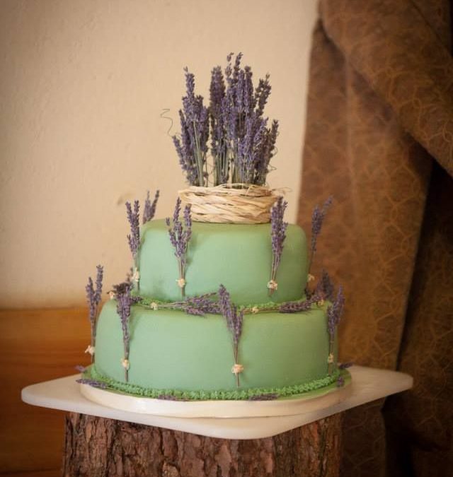 Eco Cake Lavender